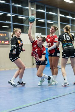 Bild 193 - A-Juniorinnen SG HH Nord - HSG Marne/Brun : Ergebnis: 32:41